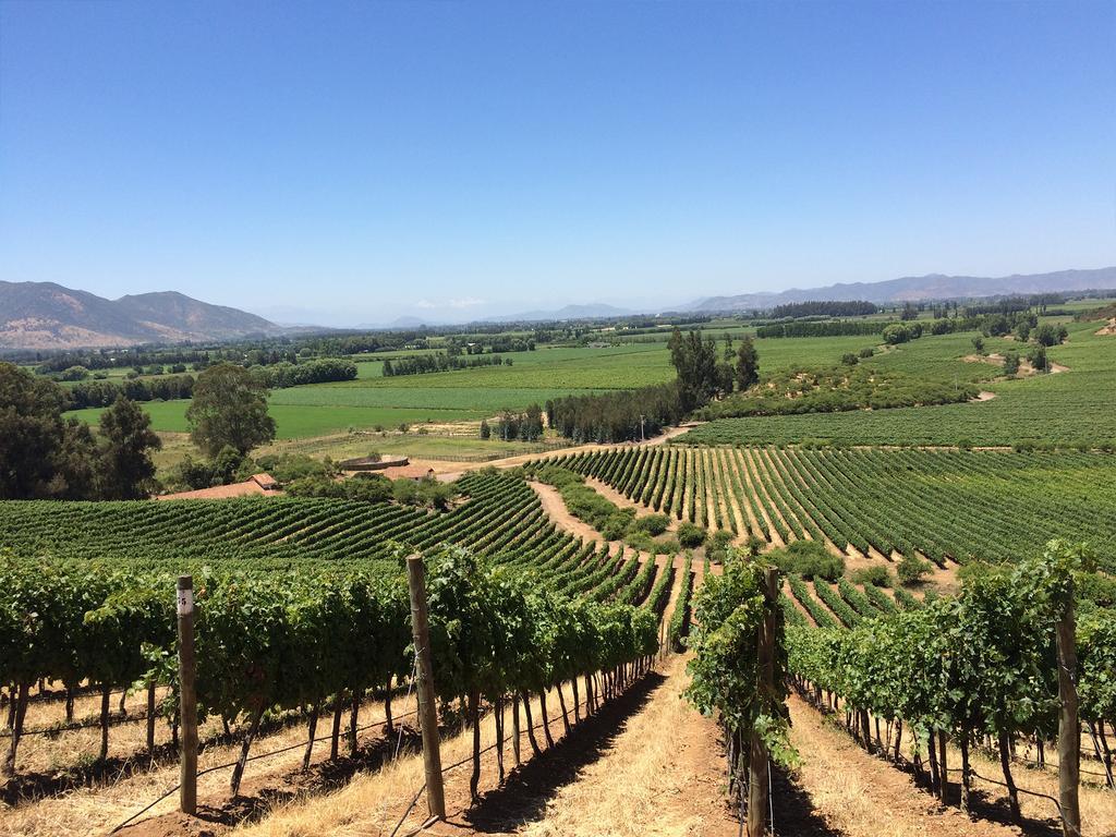 Noi Blend Colchagua Hotel Santa Cruz Luaran gambar